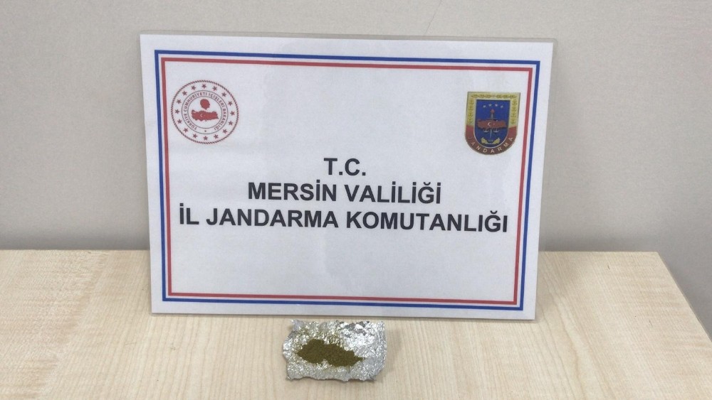 Şüpheli arabada bonzai ele geçirildi 