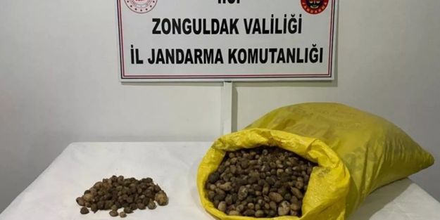 Şüpheli araçta 50 kilogram salep soğanı ele geçirildi!