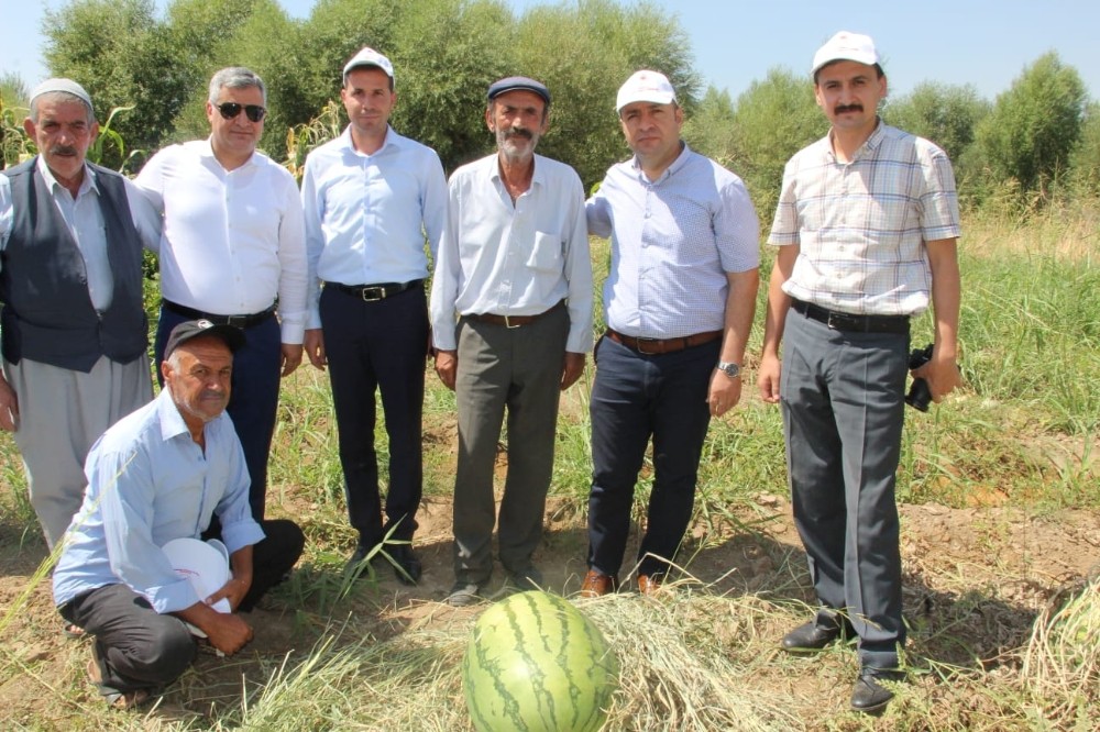 Sur Kaymakamı Abdullah Çiftçi, karpuz tarlasını ziyaret etti 