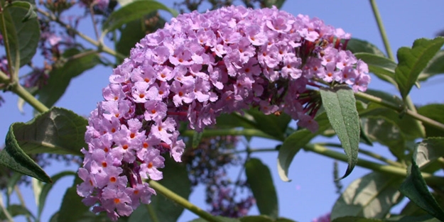 “Sürdürülebilirlik ancak yeni teknolojilerle mümkün”