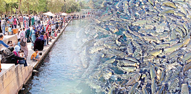 S.Urfa’ya süreç dopingi