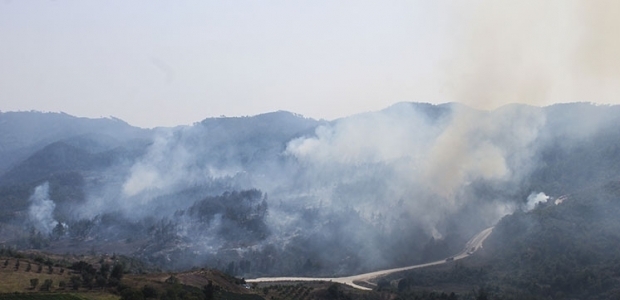 Suriye sınırındaki orman yangını