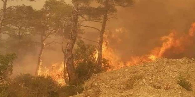 Suriye'de orman yangını 4 gündür söndürülemiyor: 1 ölü çok sayıda yaralı