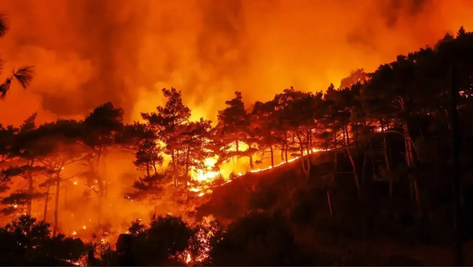 Suriye'de orman yangınları ile mücadele sürüyor!