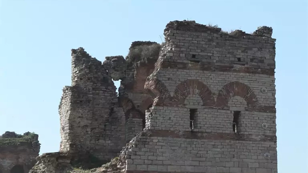 'Surlara Dayanan Hayvan Hürriyeti!'