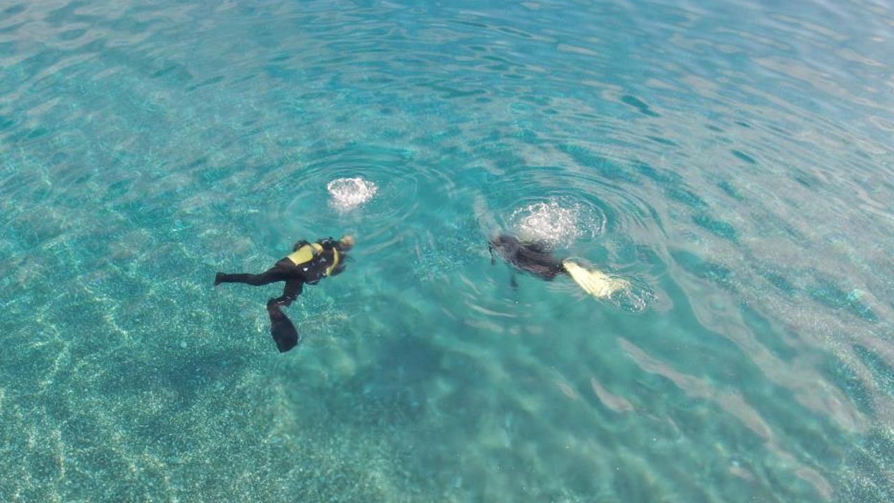 Sürpriz yumurtadan çıkar gibi çıktı! Balıkçılar neye uğradığını şaşırdı