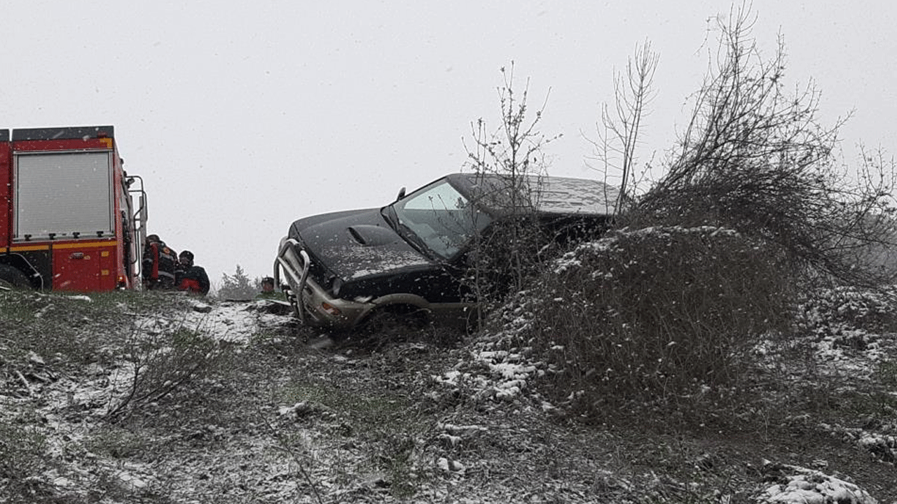 Sürücüyü kurtaran ağaç