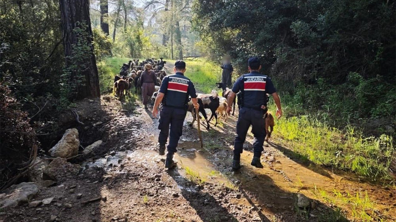 Sürüyü Jandarma buldu Keçileri kaçırdı