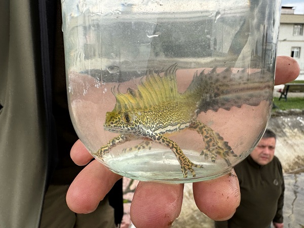 Süs havuzunda şans eseri bulundu! Ekipler harekete geçti