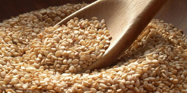 Susam hangi hastalıklara iyi geliyor?