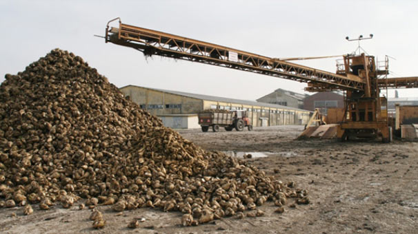 Susurluk şeker fabrikası için geri sayım