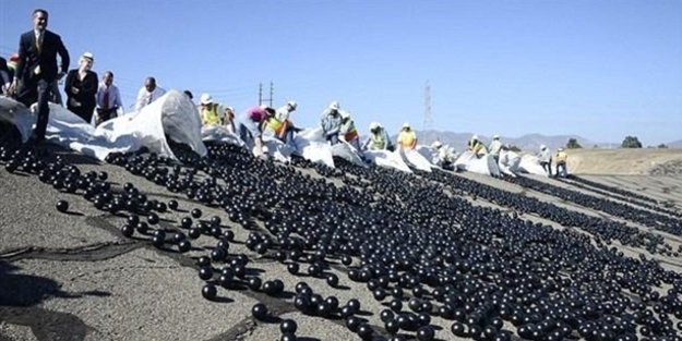 Susuzluğa karşı bakın nasıl çözüm buldular - VİDEO