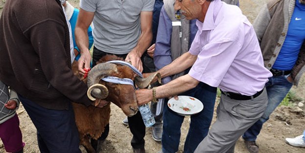 Susuzluğa karşı ilginç protesto