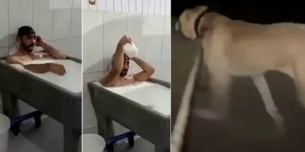 Süt banyosu skandalıyla gündeme gelmişti! Köpeğe yaptıkları tepki çekti