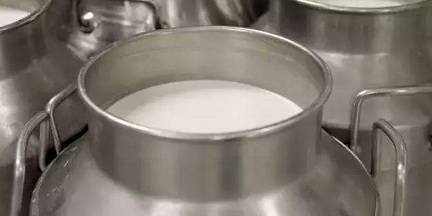 Süt ve yumurta üretimi Aralık ayında arttı