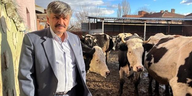 Süte gelen zamdan sonra yem fiyatları da fırladı