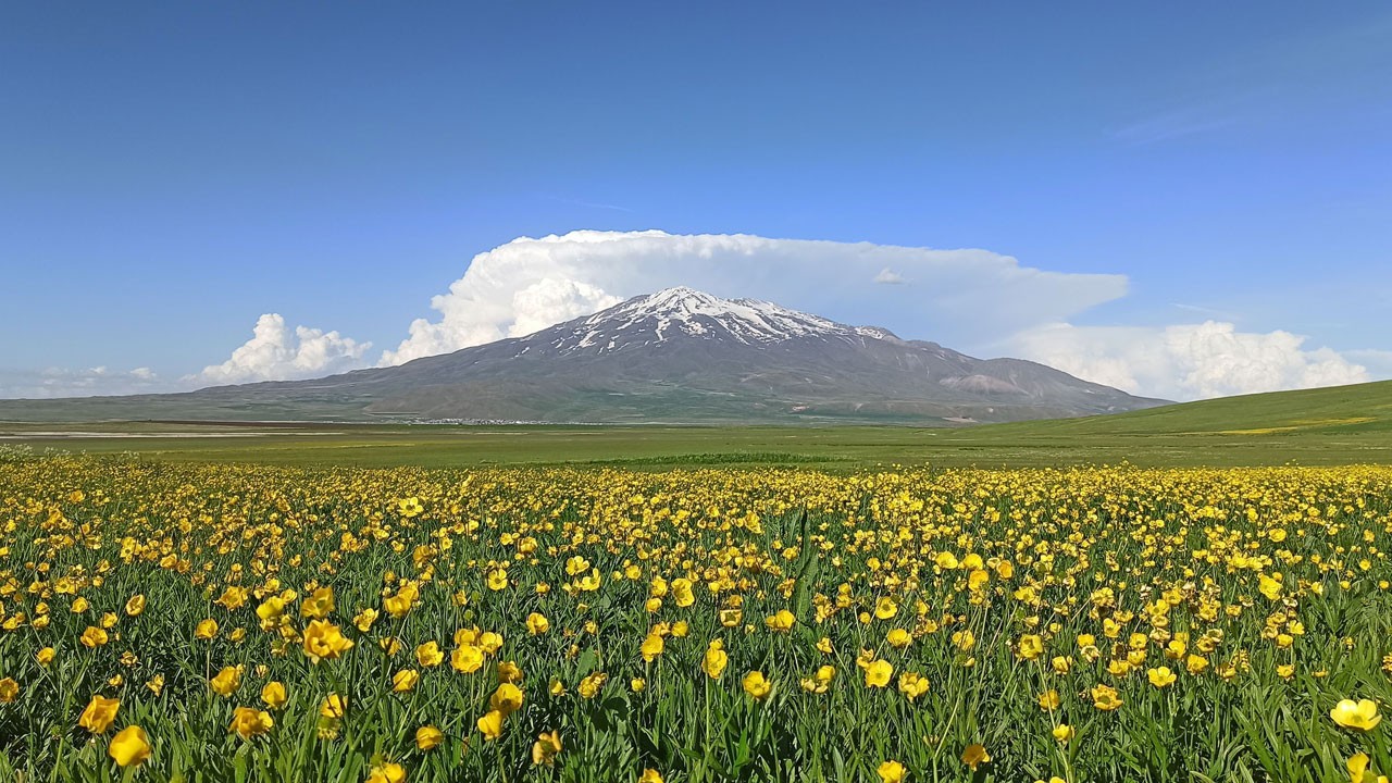 Sütey Yaylası'nda doğa şöleni