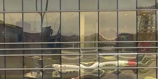 Suudi Arabistan için açıklaması! İsrailli taşıyan uçağın inişi sonrası İsrail, tüm dünyaya teşekkür mesajını duyurdu