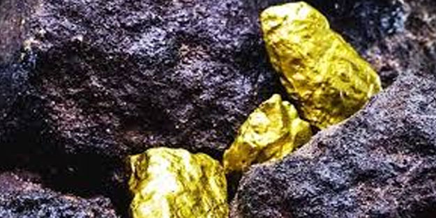 Suudi devine Türk CEO olacak!