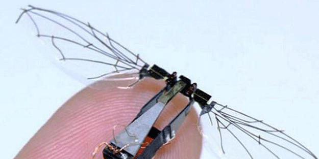 Suya dalıp çıkabilen arı üretildi