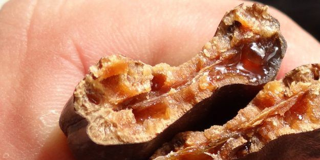 Suya keçiboynuzu koyun ve 2 ay boyunca için! Yok eden, doğal olan çözüm: Balgamı böyle çıkartıyor