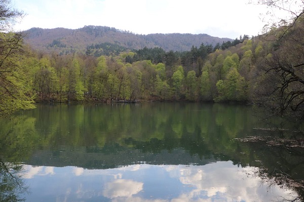 Suyun ve yeşilin buluştuğu nokta: Yedigöller