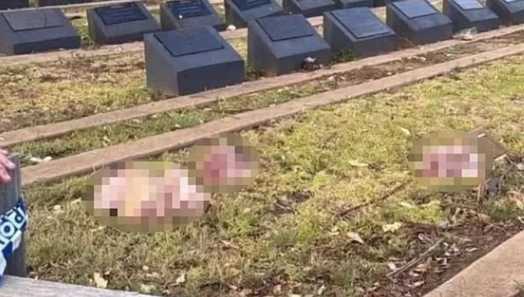 Sydney’de Müslüman mezarlığına mide bulandıran saldırı: Adi İslam düşmanları yine devrede