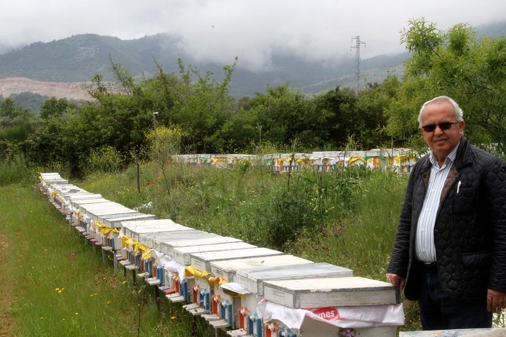 TAB Başkanı Şahin: 