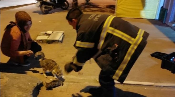 Tabela ile duvar arasında sıkışan kediyi itfaiye kurtardı 