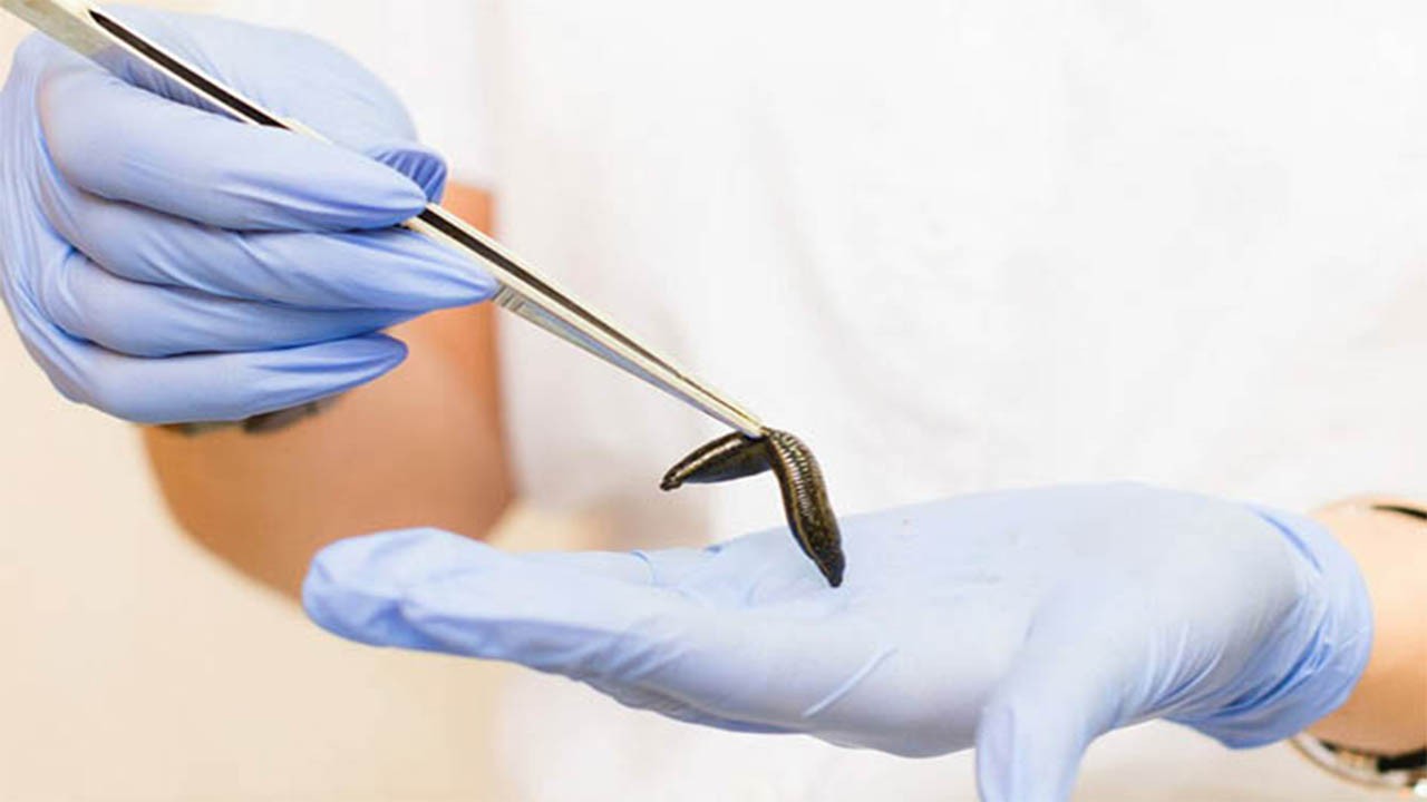 Tabiattan gelen minik 'şifacı'