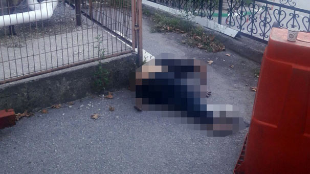 Bursa'da taburcu edildiği hastanenin bahçesinde bu halde bulundu