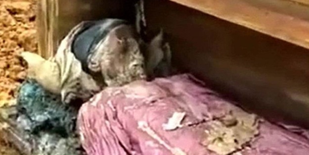 Tabutun içinde bulundu! Elbiseleri bile üstünde