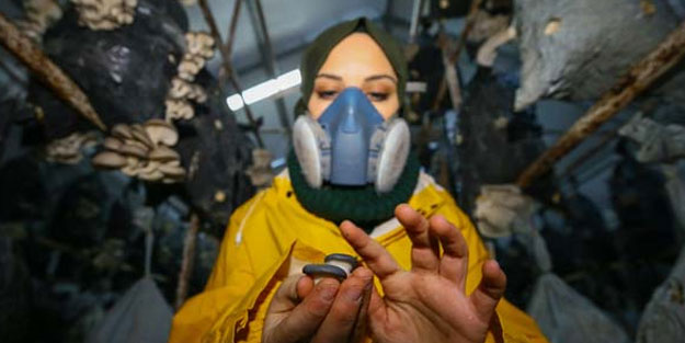 Tadını beğenip bu işe girdi, genç yaşta büyük para kazandı