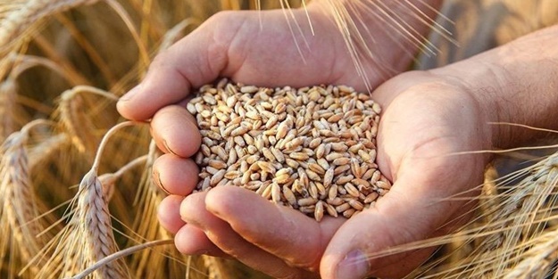 'Tahıl kıtlığı' açıklaması: Suçlusu o ülke