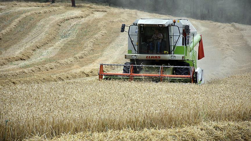 Tahıl ve meyve üretiminde artış planlanıyor