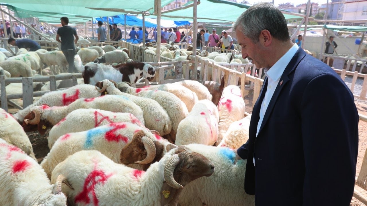 Tahmazoğlu, Gaziantep kurbanlık fiyatlarına tepki gösterdi