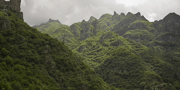 Tahran'ı zora düşürecek çıkış: Türkiye orayı henüz işgal etmiyorsa bu İran yüzünden