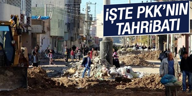 Tahribat gün yüzüne çıktı!