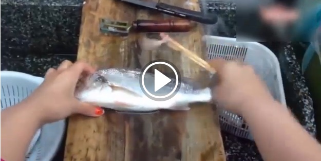 Tahta çubuklarla balık temizledi!