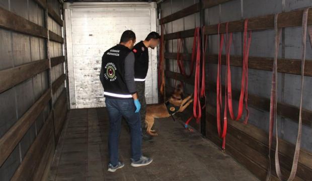 Tahtaların içinden çıktı: 4 milyon değerinde!