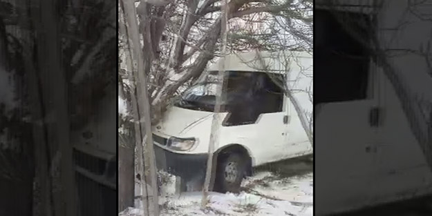 Takıldığı ceviz ağacı hayatını kurtardı