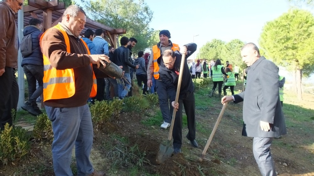 Takım Çalışması Dersinde fıstık çamlarını toprakla buluşturdular 