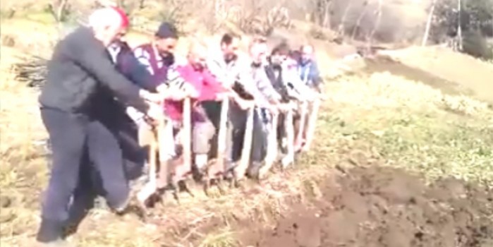 Takım işi bu olsa gerek