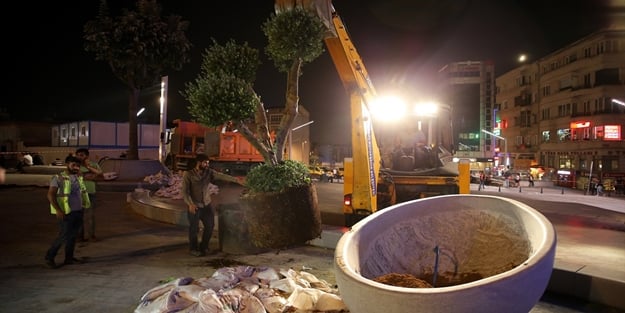 Taksim meydanına yeni ağaçlar dikildi