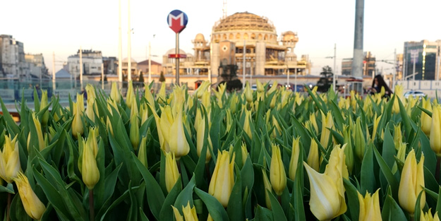 Taksim'de lale zamanı
