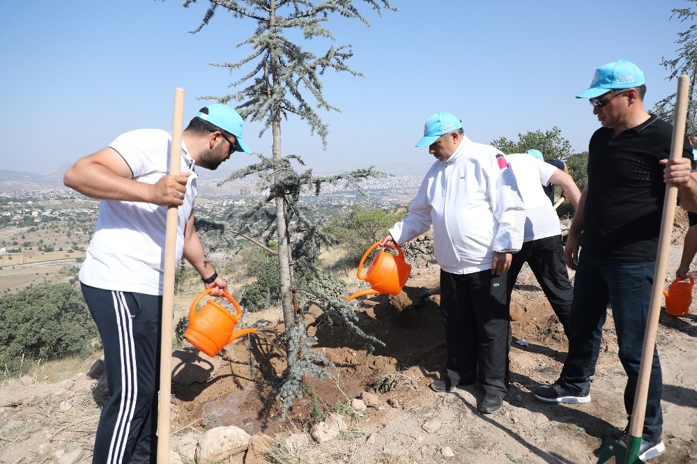 Talas belediye meclis üyeleri Ali Dağı’nda fidan dikti 