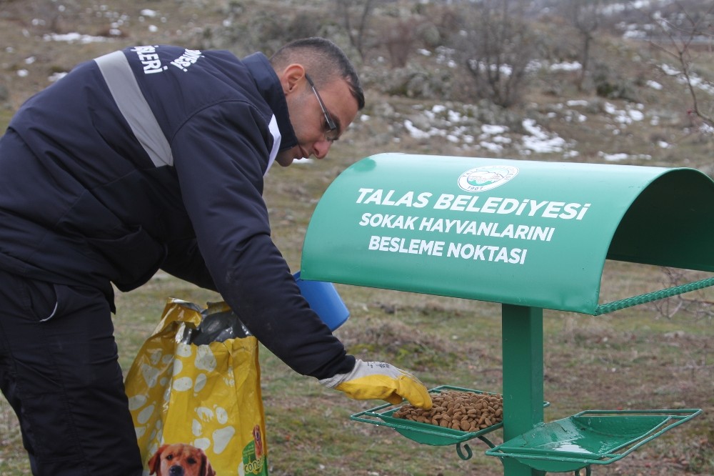 Talas, yaban hayvanlarını unutmadı 