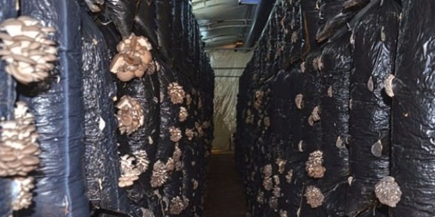 Talebe yetişemiyorlar!