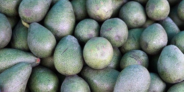 Talebe yetişemiyorlar