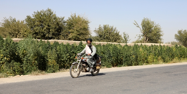 Taliban'dan yeni karar: Ülke genelinde yasaklandı